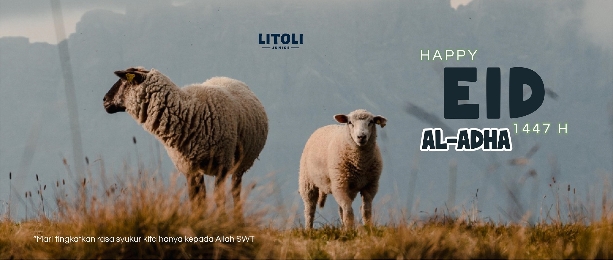 litoli